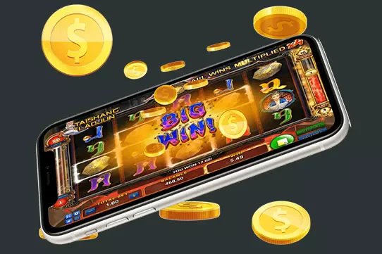 5p com bet